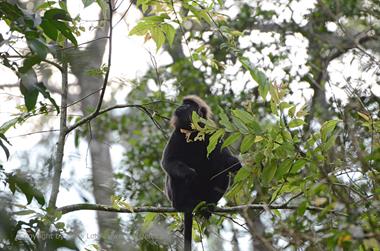 Periyar Lake N.P., ThekkadyDSC_7609_H600